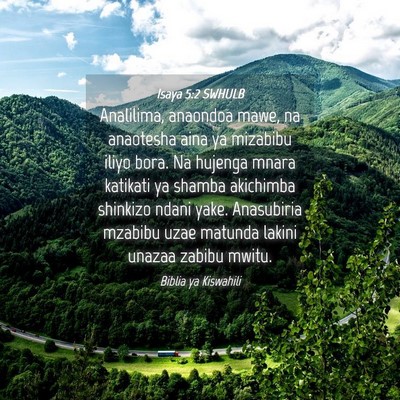 Picture 04 - Isaya 5:2 SWHULB - Analilima, anaondoa mawe, na anaotesha aina ya - Bible Verse Picture