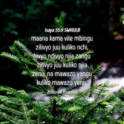 Picture 04 - Isaya 55:9 SWHULB - maana kama vile mbingu zilivyo juu kuliko nchi, - Bible Verse Picture