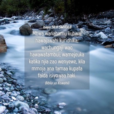 Picture 04 - Isaya 56:11 SWHULB - Mbwa wanahamu kubwa; hawajawahi kuridhika; - Bible Verse Picture