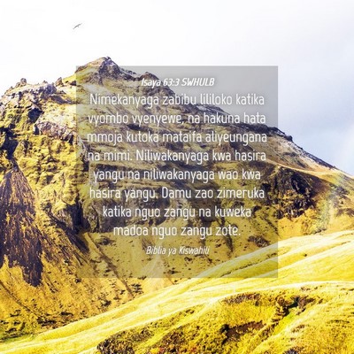 Picture 04 - Isaya 63:3 SWHULB - Nimekanyaga zabibu lililoko katika vyombo - Bible Verse Picture
