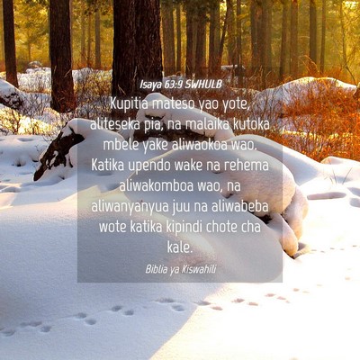 Picture 04 - Isaya 63:9 SWHULB - Kupitia mateso yao yote, aliteseka pia, na - Bible Verse Picture