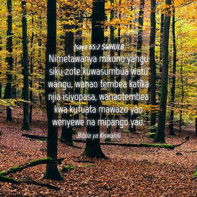 Picture 04 - Isaya 65:2 SWHULB - Nimetawanya mikono yangu siku zote kuwasumbua - Bible Verse Picture
