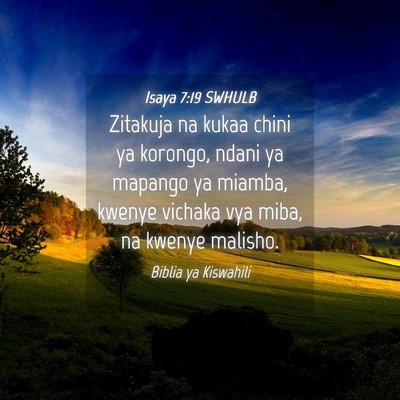 Picture 04 - Isaya 7:19 SWHULB - Zitakuja na kukaa chini ya korongo, ndani ya - Bible Verse Picture