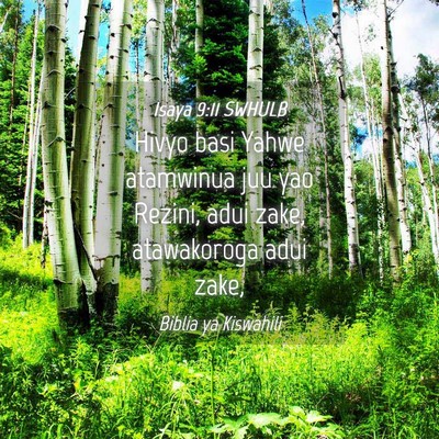 Picture 04 - Isaya 9:11 SWHULB - Hivyo basi Yahwe atamwinua juu yao Rezini, adui - Bible Verse Picture
