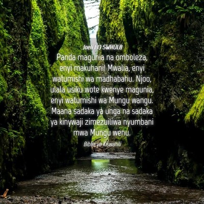 Picture 04 - Joeli 1:13 SWHULB - Panda magunia na omboleza, enyi makuhani! Mwalia, - Bible Verse Picture
