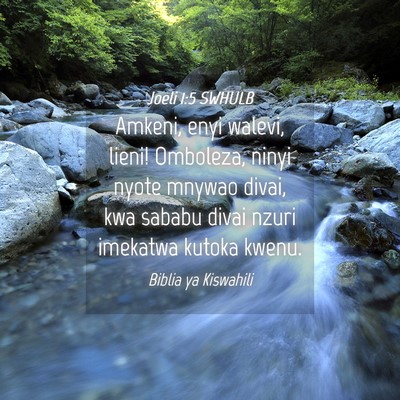 Picture 04 - Joeli 1:5 SWHULB - Amkeni, enyi walevi, lieni! Omboleza, ninyi nyote - Bible Verse Picture