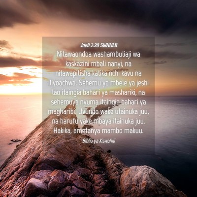 Picture 04 - Joeli 2:20 SWHULB - Nitawaondoa washambuliaji wa kaskazini mbali - Bible Verse Picture