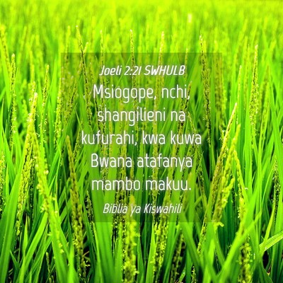 Picture 04 - Joeli 2:21 SWHULB - Msiogope, nchi, shangilieni na kufurahi, kwa kuwa - Bible Verse Picture