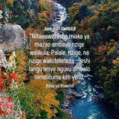 Picture 04 - Joeli 2:25 SWHULB - “Nitawawezesha miaka ya mazao ambayo nzige - Bible Verse Picture