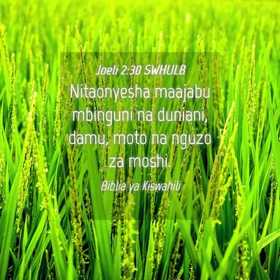 Picture 04 - Joeli 2:30 SWHULB - Nitaonyesha maajabu mbinguni na duniani, damu, - Bible Verse Picture
