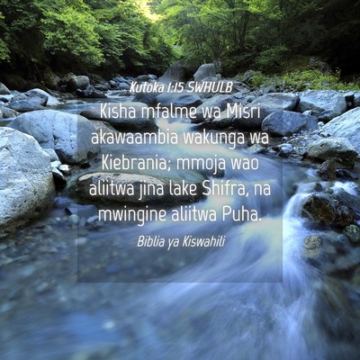 Picture 04 - Kutoka 1:15 SWHULB - Kisha mfalme wa Misri akawaambia wakunga wa - Bible Verse Picture
