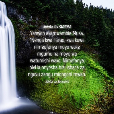 Picture 04 - Kutoka 10:1 SWHULB - Yahweh akamwambia Musa, “Nenda kwa Farao, kwa - Bible Verse Picture