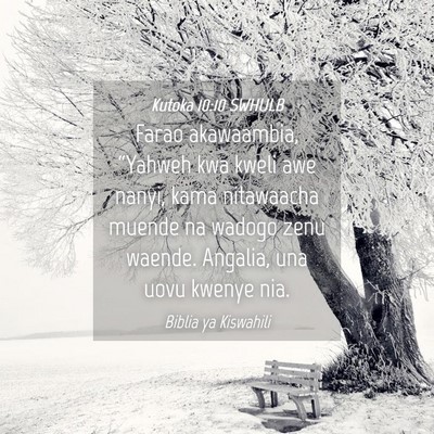 Picture 04 - Kutoka 10:10 SWHULB - Farao akawaambia, “Yahweh kwa kweli awe nanyi, - Bible Verse Picture