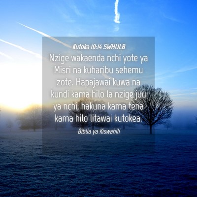 Picture 04 - Kutoka 10:14 SWHULB - Nzige wakaenda nchi yote ya Misri na kuharibu - Bible Verse Picture