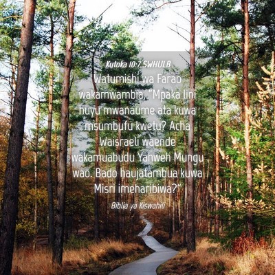 Picture 04 - Kutoka 10:7 SWHULB - Watumishi wa Farao wakamwambia, “Mpaka lini - Bible Verse Picture