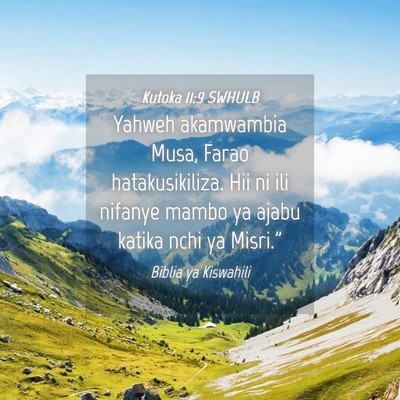 Picture 04 - Kutoka 11:9 SWHULB - Yahweh akamwambia Musa, Farao hatakusikiliza. Hii - Bible Verse Picture