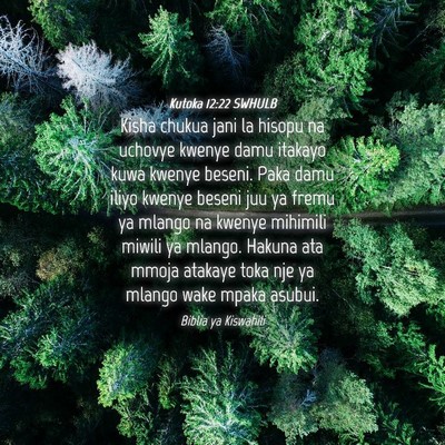 Picture 04 - Kutoka 12:22 SWHULB - Kisha chukua jani la hisopu na uchovye kwenye - Bible Verse Picture