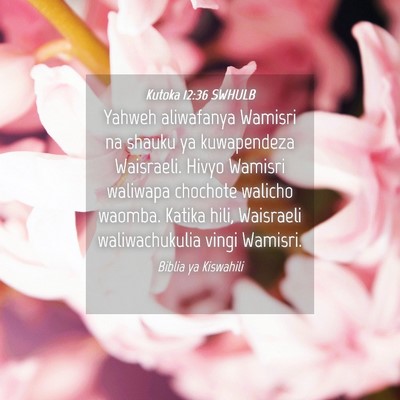 Picture 04 - Kutoka 12:36 SWHULB - Yahweh aliwafanya Wamisri na shauku ya - Bible Verse Picture