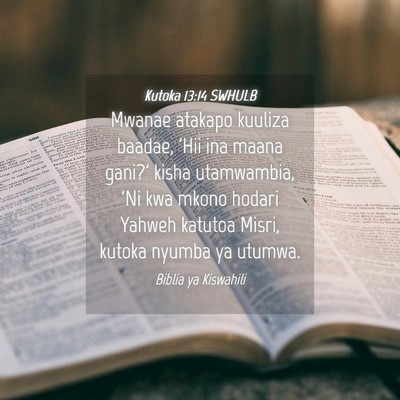 Picture 04 - Kutoka 13:14 SWHULB - Mwanae atakapo kuuliza baadae, 'Hii ina maana - Bible Verse Picture
