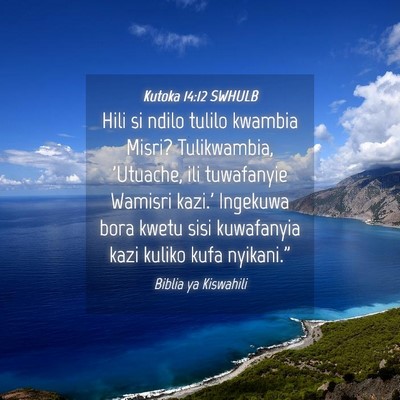 Picture 04 - Kutoka 14:12 SWHULB - Hili si ndilo tulilo kwambia Misri? Tulikwambia, - Bible Verse Picture