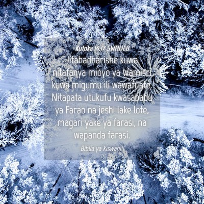 Picture 04 - Kutoka 14:17 SWHULB - Jitahadharishe kuwa nitafanya mioyo ya Wamisri - Bible Verse Picture
