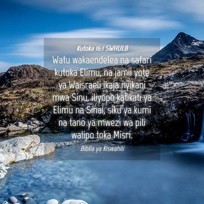 Picture 04 - Kutoka 16:1 SWHULB - Watu wakaendelea na safari kutoka Elimu, na jamii - Bible Verse Picture