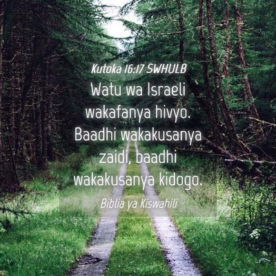 Picture 04 - Kutoka 16:17 SWHULB - Watu wa Israeli wakafanya hivyo. Baadhi - Bible Verse Picture