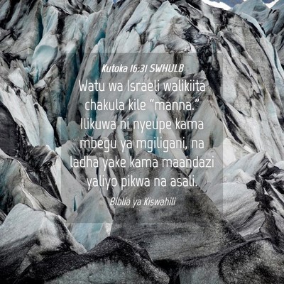 Picture 04 - Kutoka 16:31 SWHULB - Watu wa Israeli walikiita chakula kile - Bible Verse Picture