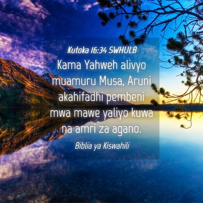 Picture 04 - Kutoka 16:34 SWHULB - Kama Yahweh alivyo muamuru Musa, Aruni akahifadhi - Bible Verse Picture