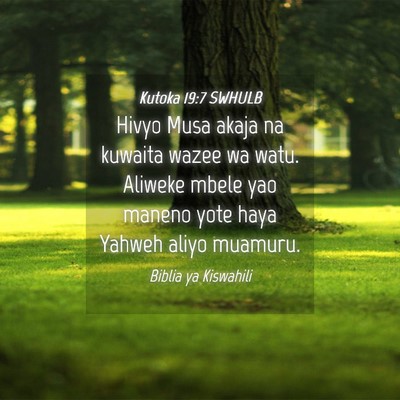Picture 04 - Kutoka 19:7 SWHULB - Hivyo Musa akaja na kuwaita wazee wa watu. - Bible Verse Picture