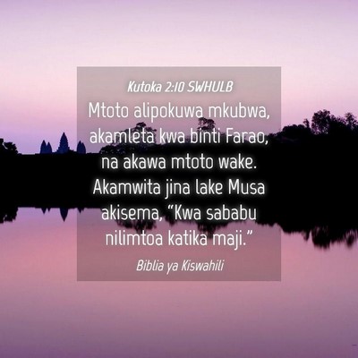 Picture 04 - Kutoka 2:10 SWHULB - Mtoto alipokuwa mkubwa, akamleta kwa binti Farao, - Bible Verse Picture