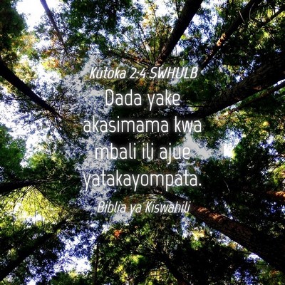 Picture 04 - Kutoka 2:4 SWHULB - Dada yake akasimama kwa mbali ili ajue - Bible Verse Picture