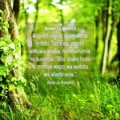 Picture 04 - Kutoka 2:6 SWHULB - Alipokifungua, aliomwona mtoto. Tazama, mtoto - Bible Verse Picture