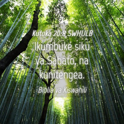 Picture 04 - Kutoka 20:8 SWHULB - Ikumbuke siku ya Sabato, na - Bible Verse Picture