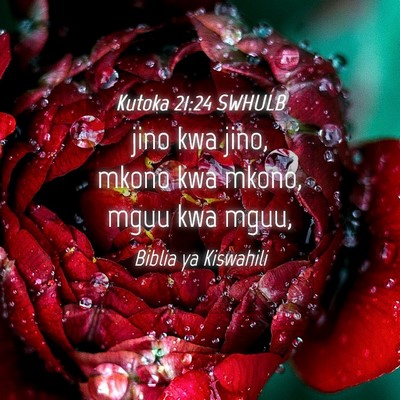 Picture 04 - Kutoka 21:24 SWHULB - jino kwa jino, mkono kwa mkono, mguu kwa - Bible Verse Picture