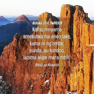 Picture 04 - Kutoka 22:4 SWHULB - Kama mnyama amekutwa hai eneo lake, kama ni - Bible Verse Picture