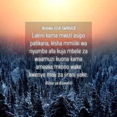 Picture 04 - Kutoka 22:8 SWHULB - Lakini kama mwizi asipo patikana, kisha mmiliki - Bible Verse Picture