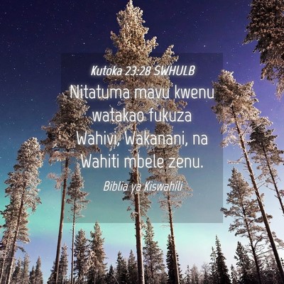 Picture 04 - Kutoka 23:28 SWHULB - Nitatuma mavu kwenu watakao fukuza Wahivi, - Bible Verse Picture