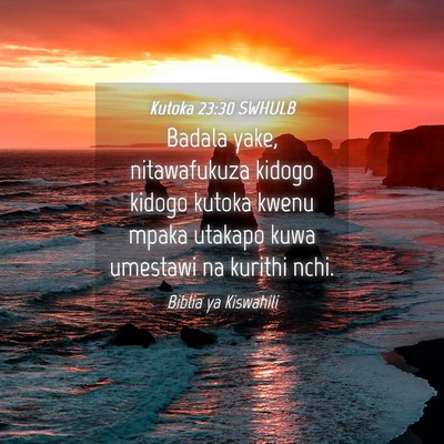 Picture 04 - Kutoka 23:30 SWHULB - Badala yake, nitawafukuza kidogo kidogo kutoka - Bible Verse Picture