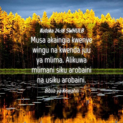 Picture 04 - Kutoka 24:18 SWHULB - Musa akaingia kwenye wingu na kwenda juu ya - Bible Verse Picture