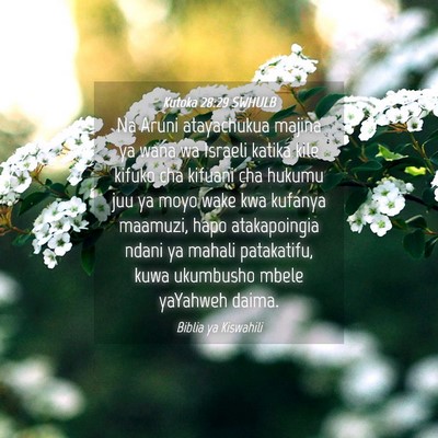 Picture 04 - Kutoka 28:29 SWHULB - Na Aruni atayachukua majina ya wana wa Israeli - Bible Verse Picture