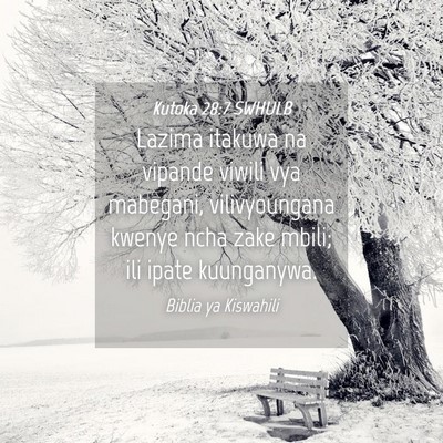 Picture 04 - Kutoka 28:7 SWHULB - Lazima itakuwa na vipande viwili vya mabegani, - Bible Verse Picture