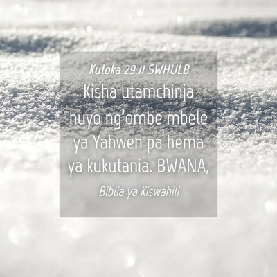Picture 04 - Kutoka 29:11 SWHULB - Kisha utamchinja huyo ng’ombe mbele ya Yahweh - Bible Verse Picture