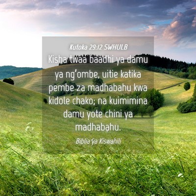 Picture 04 - Kutoka 29:12 SWHULB - Kisha twaa baadhi ya damu ya ng’ombe, uitie - Bible Verse Picture