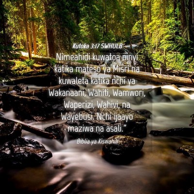 Picture 04 - Kutoka 3:17 SWHULB - Nimeahidi kuwatoa ninyi katika mateso ya Misri na - Bible Verse Picture