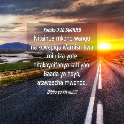 Picture 04 - Kutoka 3:20 SWHULB - Nitainua mkono wangu na kuwapiga Wamisri kwa - Bible Verse Picture
