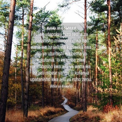 Picture 04 - Kutoka 30:16 SWHULB - Nawe utapokea hizo fedha za upatanisho mikononi - Bible Verse Picture