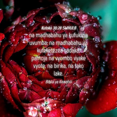 Picture 04 - Kutoka 30:28 SWHULB - na madhabahu ya kufukizia uvumba, na madhabahu ya - Bible Verse Picture