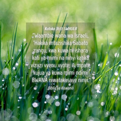 Picture 04 - Kutoka 31:13 SWHULB - “Waambie wana wa Israeli, 'Hakika mtazishika - Bible Verse Picture