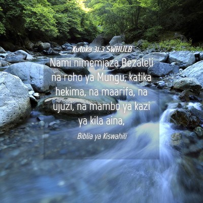 Picture 04 - Kutoka 31:3 SWHULB - Nami nimemjaza Bezaleli na roho ya Mungu, katika - Bible Verse Picture